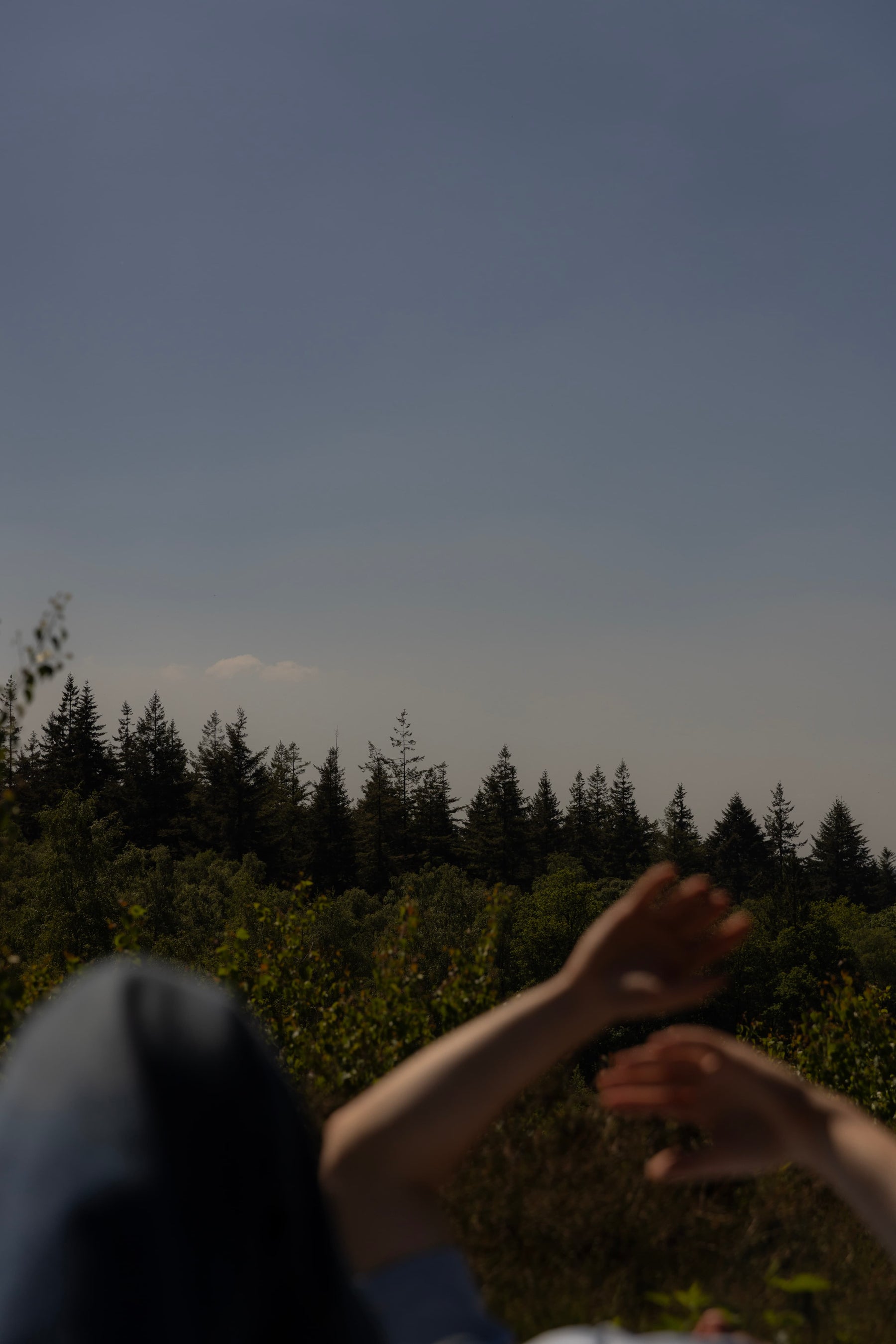 Person relaxing outdoors in nature ZUUT organic health lifestyle