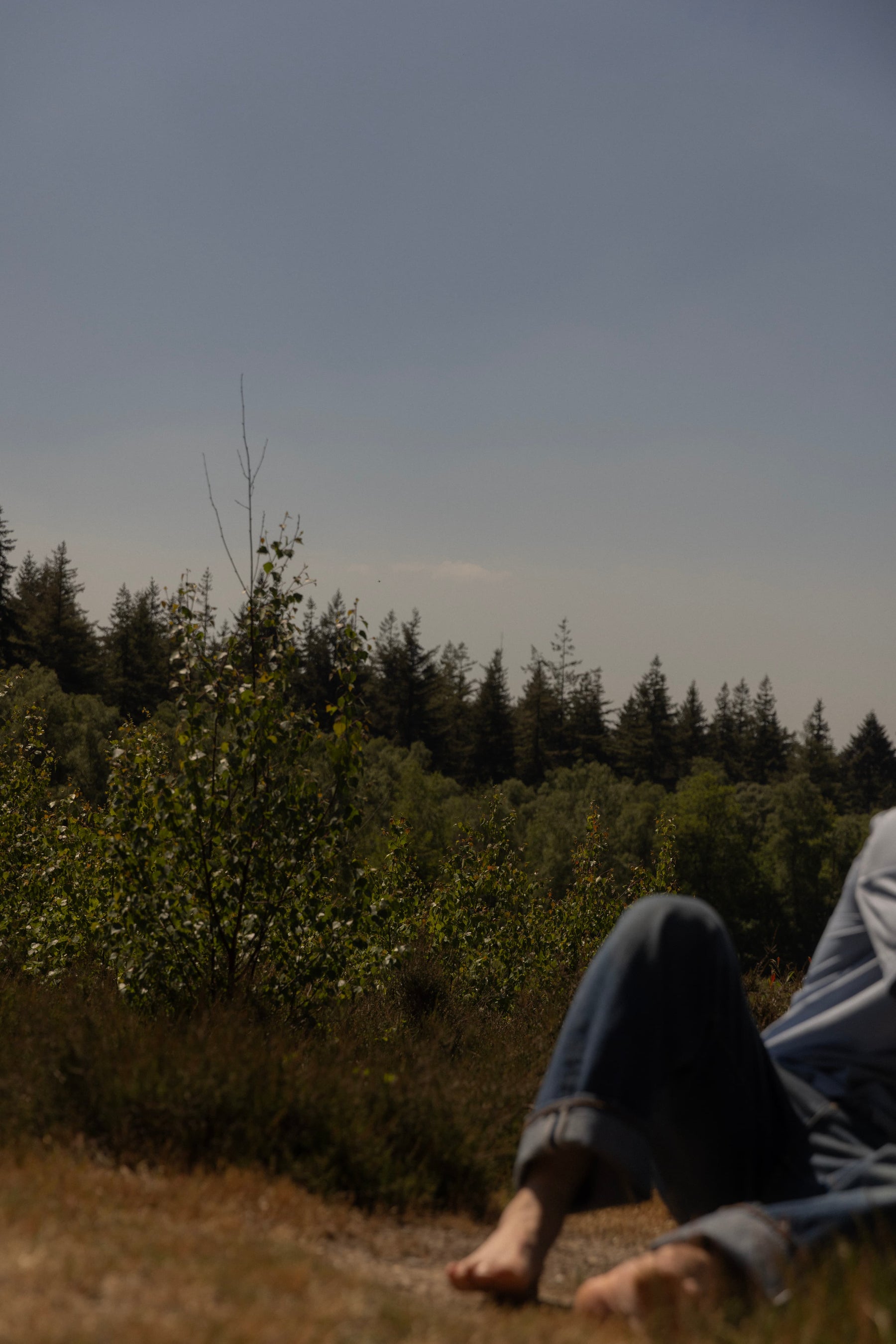 Person relaxing barefoot in nature with forest view ZUUT organic health lifestyle
